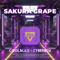 Coolmax_Cyberbox-SakuraGrape_1